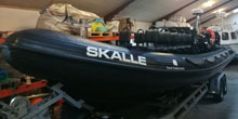 Skalle