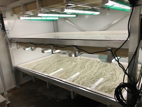 Production tanks for seeding seaweed lines and nets. Photp: Mette Møller Nielsen
