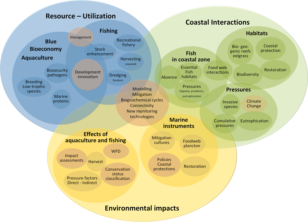 Research areas in Section for Coastal Ecology