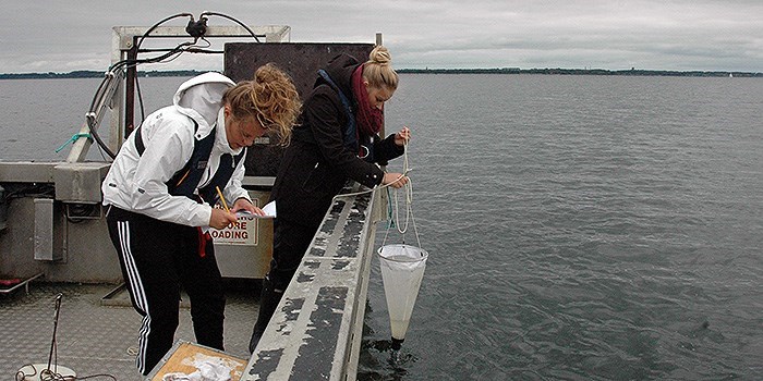 Gymnasieelever tager vandprøver i Limfjorden